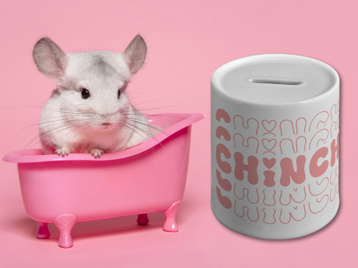 Chinchilla piggy bank, Chinchilla money box, first chinchilla, chinchilla savings